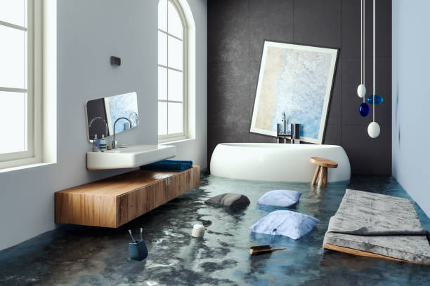 Carpet water damage restoration in FL