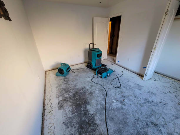 Best 24-hour water damage restoration  in High Springs, FL