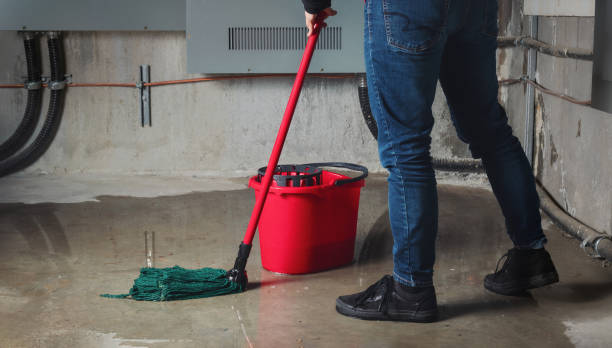 Best Carpet water damage restoration  in High Springs, FL