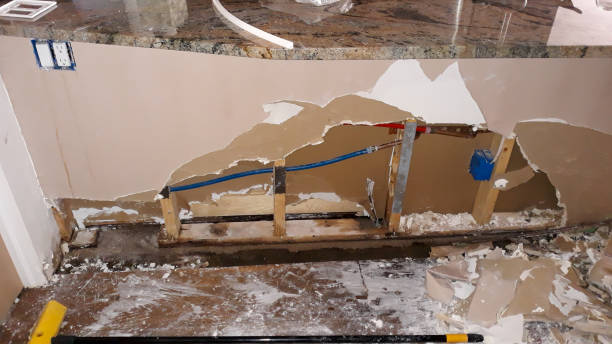 Best Fire Damage Restoration  in High Springs, FL