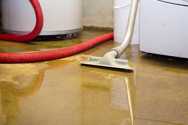 Best 24/7 water damage repair  in High Springs, FL