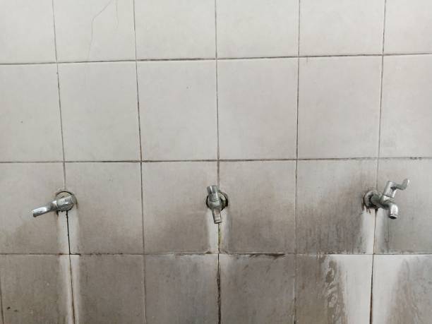 Best Basement water damage restoration  in High Springs, FL