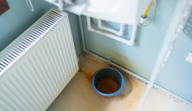 Best Water damage cleanup near me  in High Springs, FL