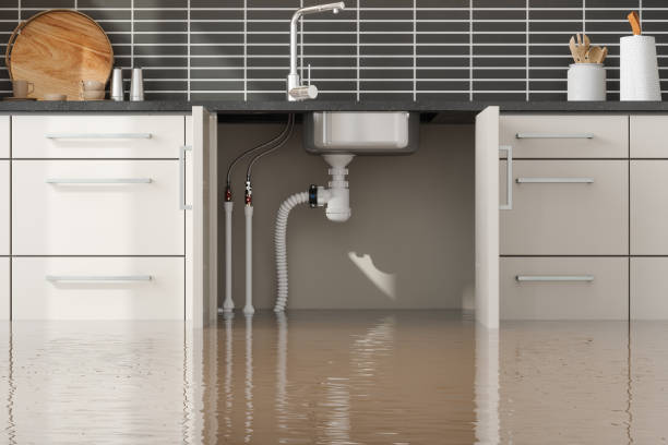 Best Local water damage restoration  in High Springs, FL