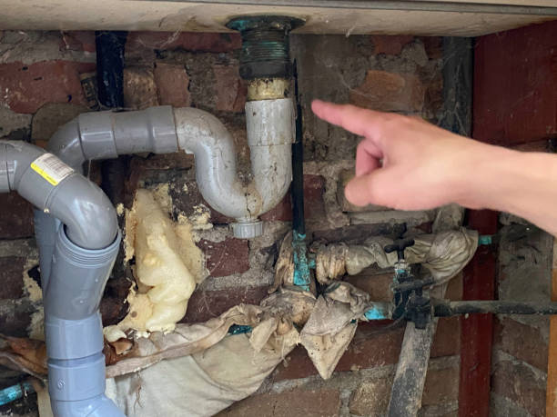 Best Water damage restoration near me  in High Springs, FL