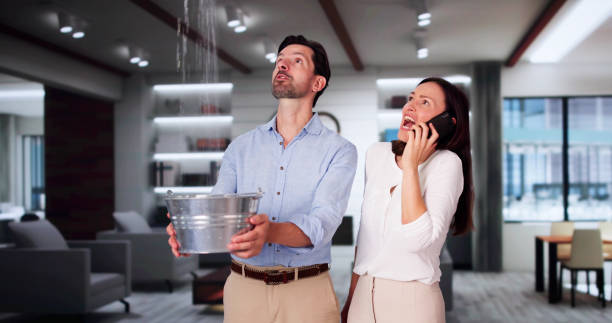 Best Sewage cleanup and water damage restoration  in High Springs, FL